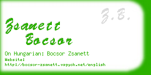 zsanett bocsor business card